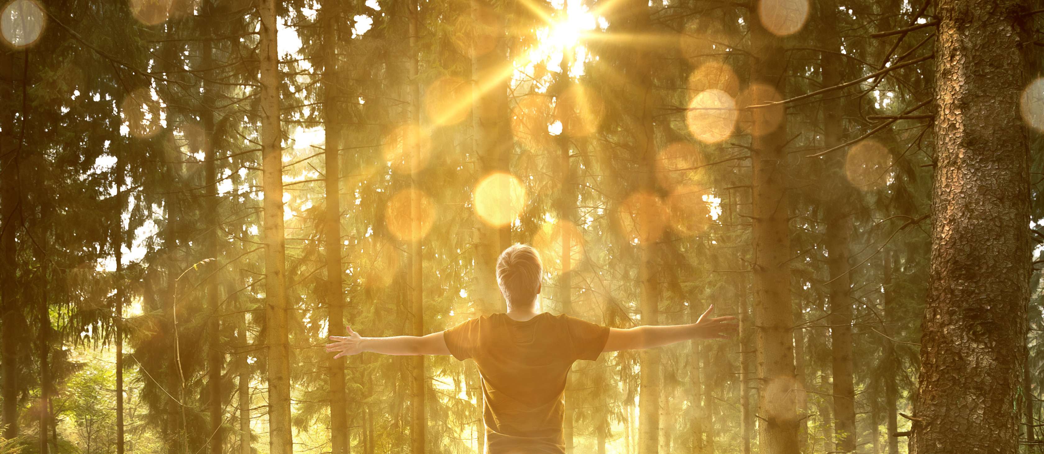 Allainz Gesundheitswelt - Aktivierung der Stärken: Ein junger Mann steht mit ausgestreckten Armen im Wald. Durch die Bäume fällt der Sonnenschein.