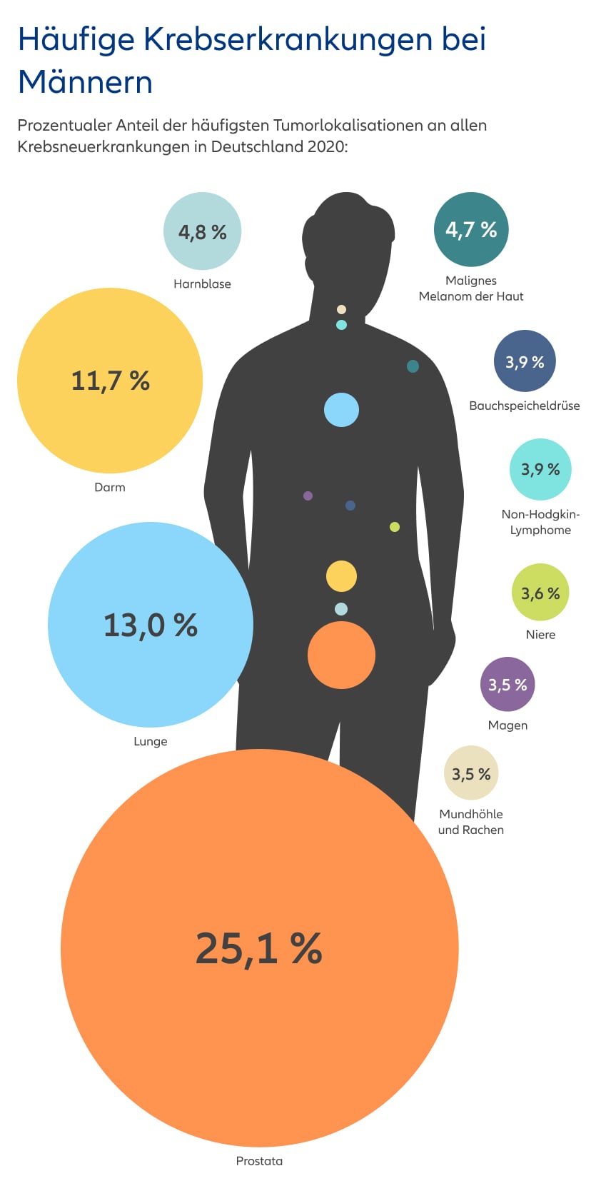 Die Infografik zeigt eine stilisierte Männerfigur mit farbigen Kreisen an unterschiedlichen Körperstellen, die die häufigsten Krebsneuerkrankungen bei Männern in Deutschland im Jahr 2020 und deren prozentualen Anteil darstellen. Prostata: 25,1 % (größter orangefarbener Kreis im Beckenbereich) Lunge: 13,0 % (großer hellblauer Kreis im unteren Brustbereich) Darm: 11,7 % (großer gelber Kreis im Bauchraum) Harnblase: 4,8 % (türkisfarbener Kreis oberhalb der Hüfte) Malignes Melanom der Haut: 4,7 % (blaugrüner Kreis am rechten Oberarm) Bauchspeicheldrüse: 3,9 % (dunkelblauer Kreis im mittleren Bauchraum) Non-Hodgkin-Lymphome: 3,9 % (türkiser Kreis auf dem rechten Oberkörper) Niere: 3,6 % (hellgrüner Kreis seitlich am unteren Rücken) Magen: 3,5 % (lilafarbener Kreis im mittleren Bauchraum) Mundhöhle und Rachen: 3,5 % (hellbeiger Kreis im Halsbereich) Die Prozentzahlen zeigen den Anteil dieser Krebsarten an allen Krebsneuerkrankungen bei Männern im genannten Jahr.