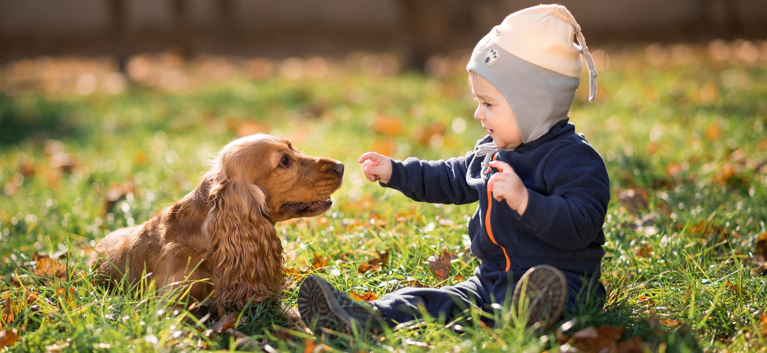 Allianz Gesundheitswelt - Zoonosen: Kind spielt mit Hund im Gras