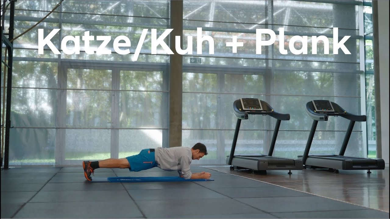 Video: Allianz gegen Schmerz – Übungen mit Felix Neureuther: Katze-Kuh + Plank